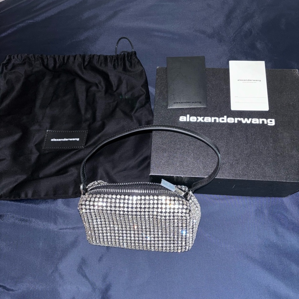 Alexander Wang Heiress Pouch In Crystal Mesh!